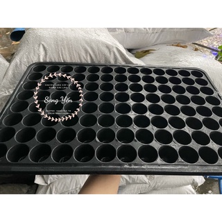 10 khay ươm hạt giống 105 lổ dày dặn