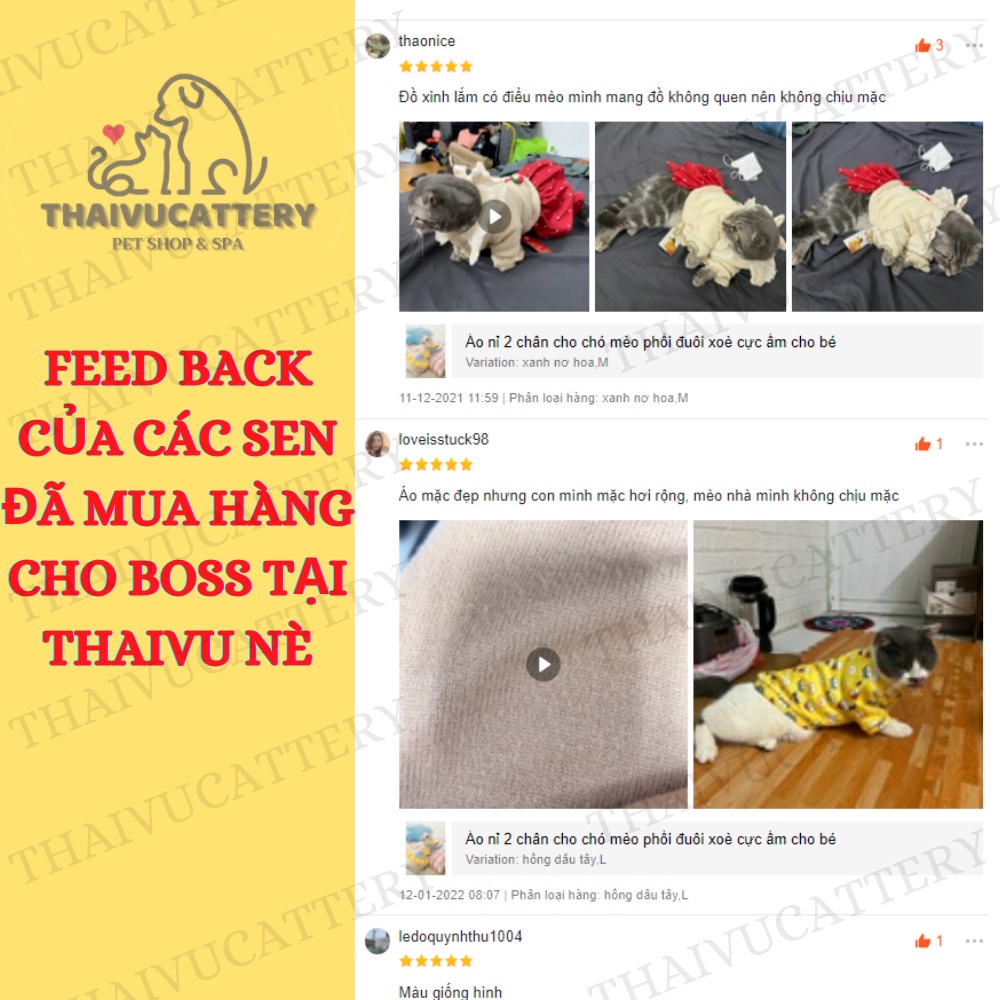 Áo nỉ  áo tết ấm áp cho chó mèo- Thaivucattery