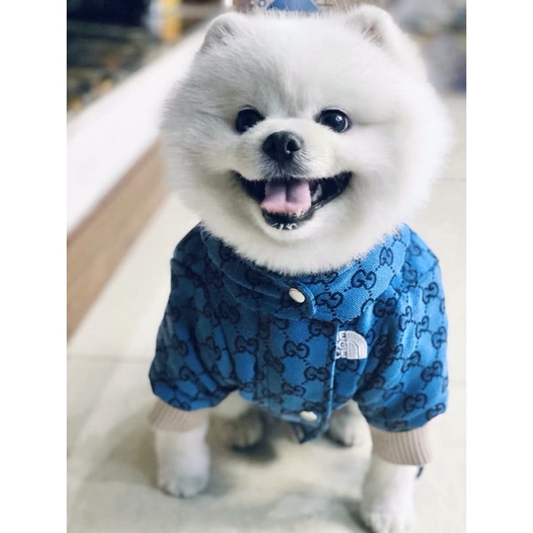 ÁO KHOÁC THE DOG FACE x GUCCl dành cho chó mèo