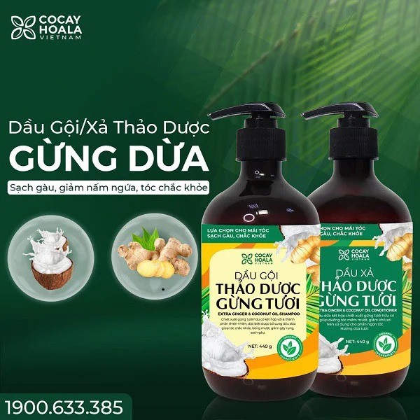 Bộ dầu gội thảo dược Gừng Dừa CỎ CÂY HOA LÁ chăm sóc tóc mềm mượt, đánh bay gàu, giảm ngứa dung tích 440ml/ chai