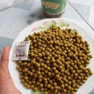 Viên cà gai leo cao mật nhân