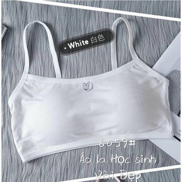 Áo học sinh, áo lá cotton tăm | WebRaoVat - webraovat.net.vn