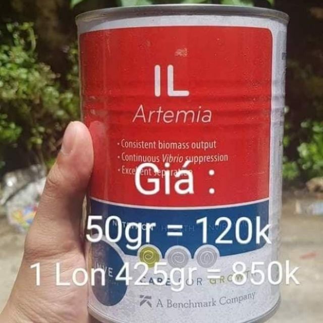 Artemia ấp nở loại tốt tặng bộ ấp