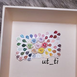 hoa bột mỹ - đậu thoi 9 cánh