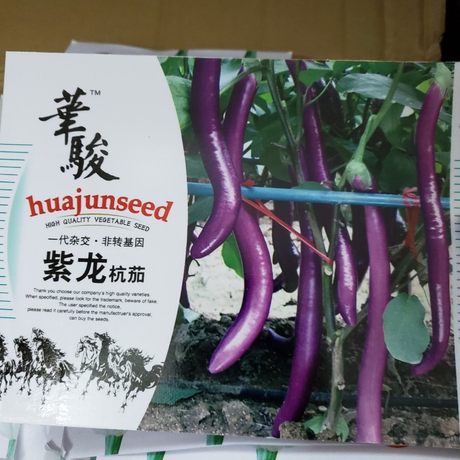 (200-300 hạt) Hạt giống cà tím siêu dài hàng you know seed Thái lan