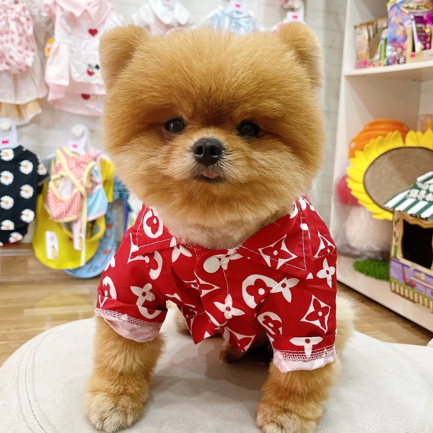 Áo sơ mi đỏ hoạ tiết sang chảnh cho chó mèo