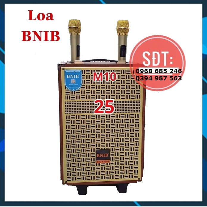 Loa kéo karaoke bluetooth BNIB M10A mini Loa kẹo kéo di động thùng gỗ tiện lợi .