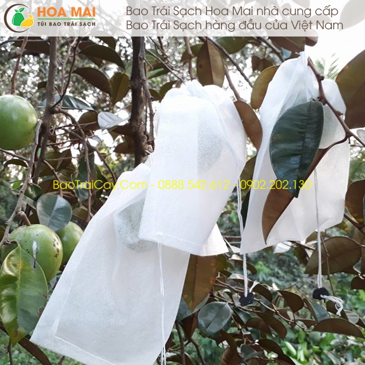 Túi bao Vú Sữa Hoa Mai 18x20  chống sâu ruồi vàng đục quả bao trái sạch giá rẻ - hàng chính hãng