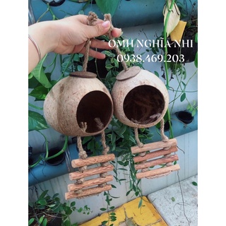 Hang gáo dừa có thang leo