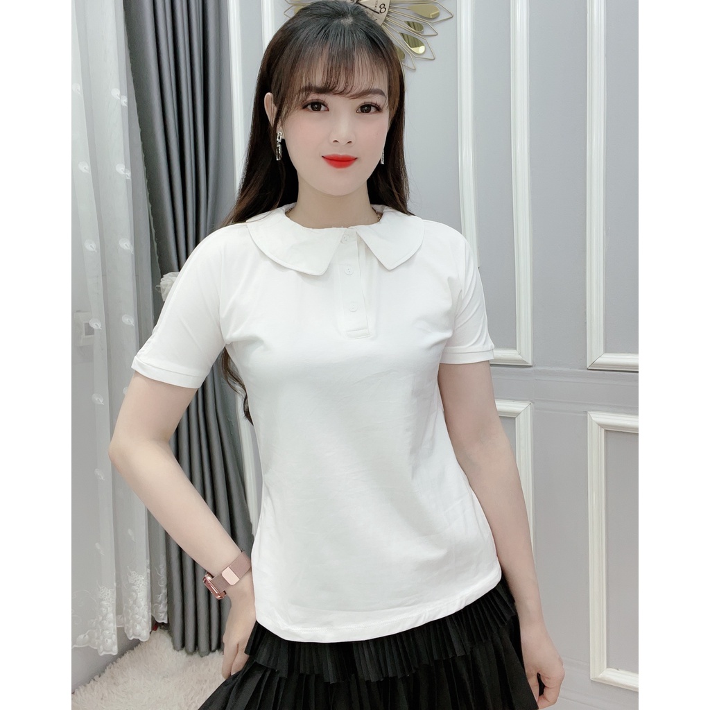 Áo Thun Polo Nữ Trơn Basic Tay Ngắn Cổ Tròn Cotton Trẻ trung - Hanlly Fashion A22