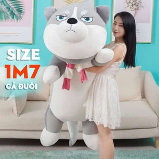  Gấu bông Chó Husky Siêu To Khổng Lồ - gối ôm chó ngáo size 1m1 - 1m5 - hình thât - video 