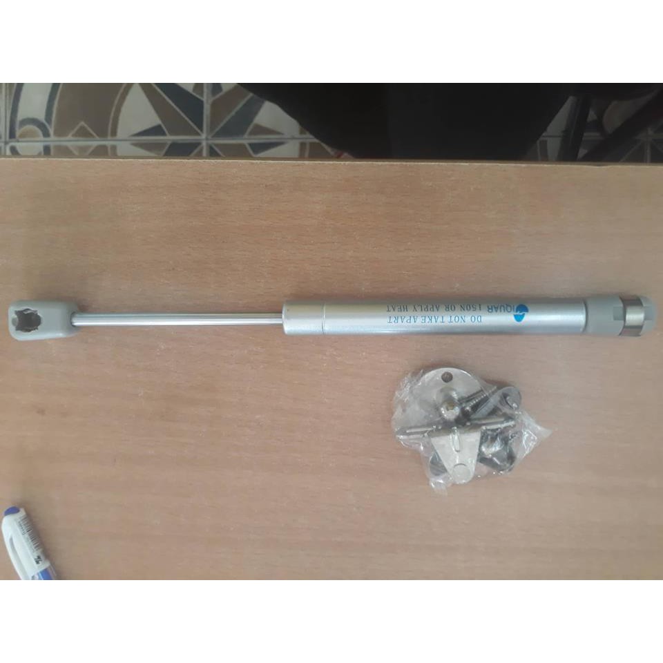 BEN HƠI - CÂY CHỐNG TỦ