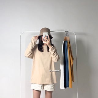 Áo pull dài tay 3929