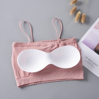Áo Bra Cotton Tăm Cao Cấp (SP000601)
