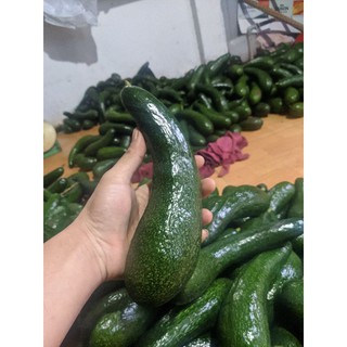 Bơ 034 Lâm Đồng loại 2-3