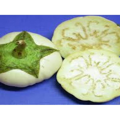 Hạt giống Cà bát trắng 1gr - Rau củ quả trồng tại vườn, sân thượng, nông trang, ban công