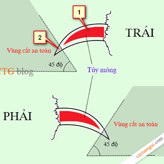 Bộ kìm cắt móng chó mèo