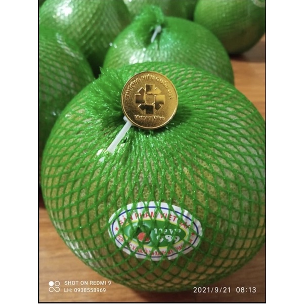Combo 2 quả bưởi da xanh Bến Tre ngon