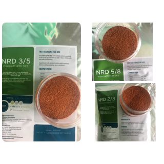 Cám inve 3.5 - 5.8 - 2.3 cho cá guppy betta