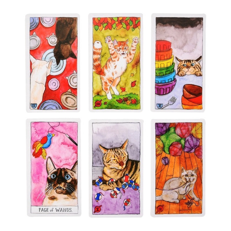Bộ bài Tarot hình mèo tiếng Anh vui nhộn