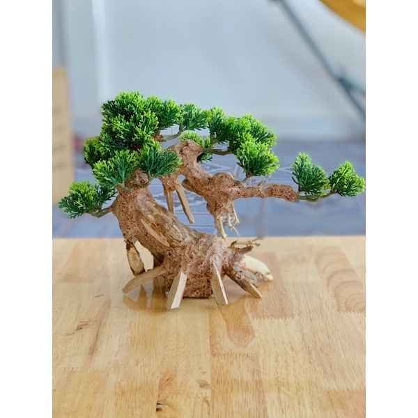 Cây Lũa BonSai Thuỷ Sinh ( lá giả) mẫu tương tự ]