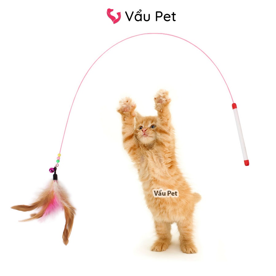 Cần Câu Mèo Dây Thép Đồ chơi cho mèo Vẩu Pet Shop
