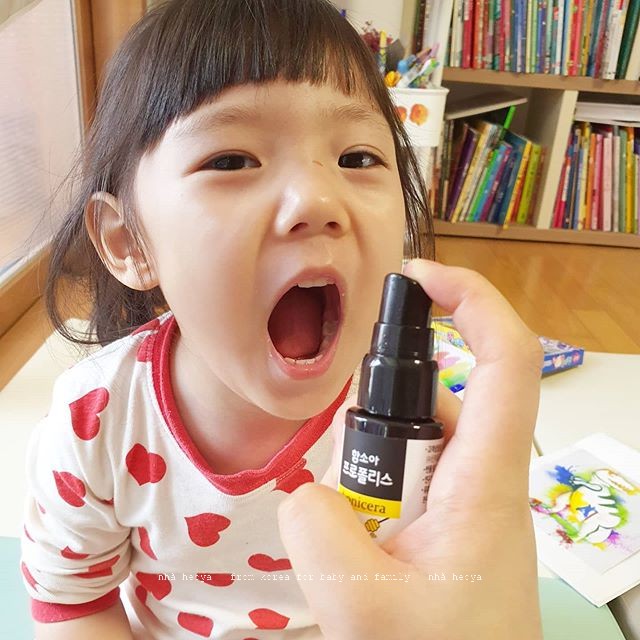 XỊT KEO ONG VÀNG HAMSOA LONICERA PROPOLIS HÀN QUỐC