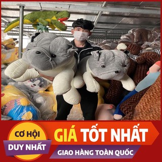 Gấu bông cao cấp chó ngao mặt nhăn/gấu bông to chất liệu cao cấp an toàn cho da