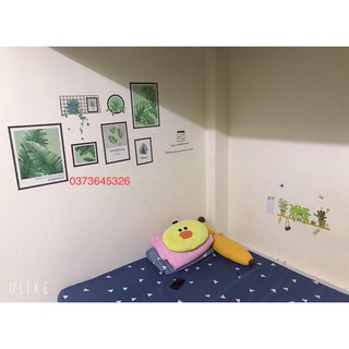 Decal dán tuong Khung lá xanh hàn quốc