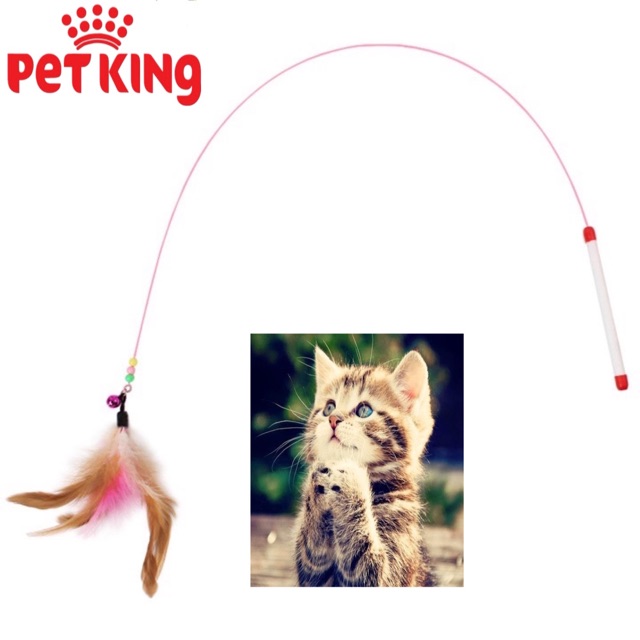Đồ Chơi Cần Câu Mèo Dây Thép 90cm