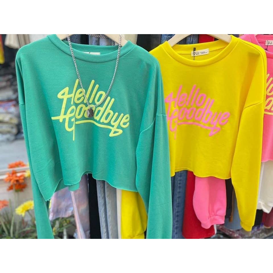 Áo thun croptop form rộng Colorful  in chữ nổi sắc net  áo phom to tay dài xanh mint hồng nữ Hello Goodbye CRRD 22 -1E