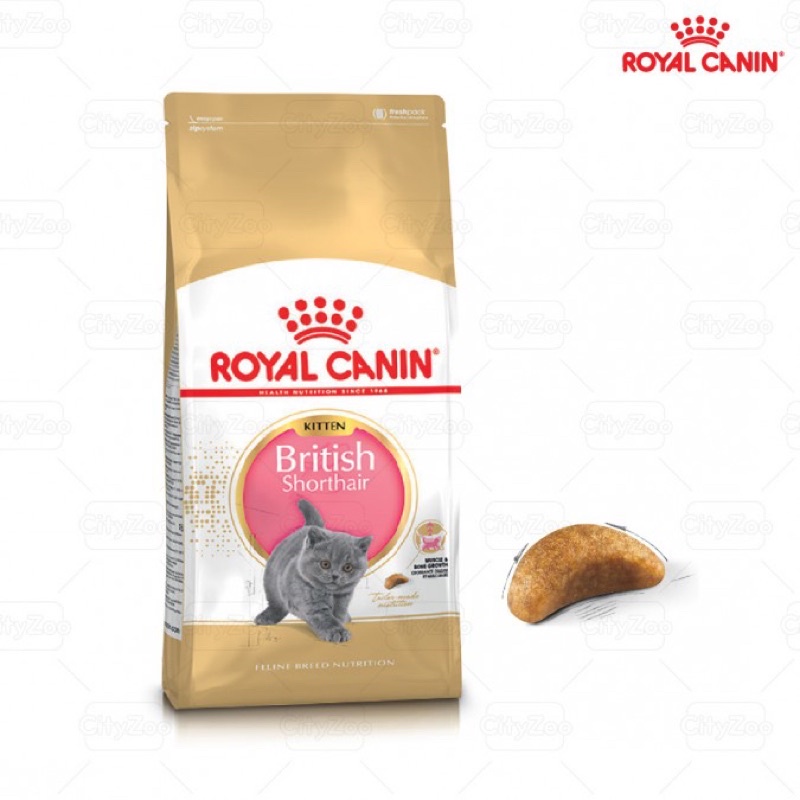 Thức ăn hạt cho mèo Royal Canin British Shorthair Kitten cho Mèo Anh Lông Ngắn dưới 12 tháng, bịch 2 Kg