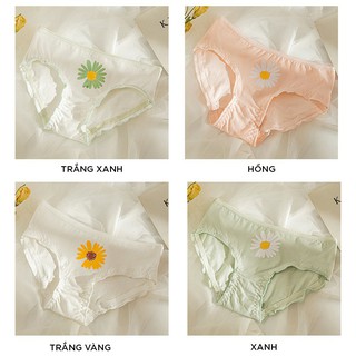 Quần lót nữ quần chip nữ cotton hoa cúc kháng khuẩn QL51