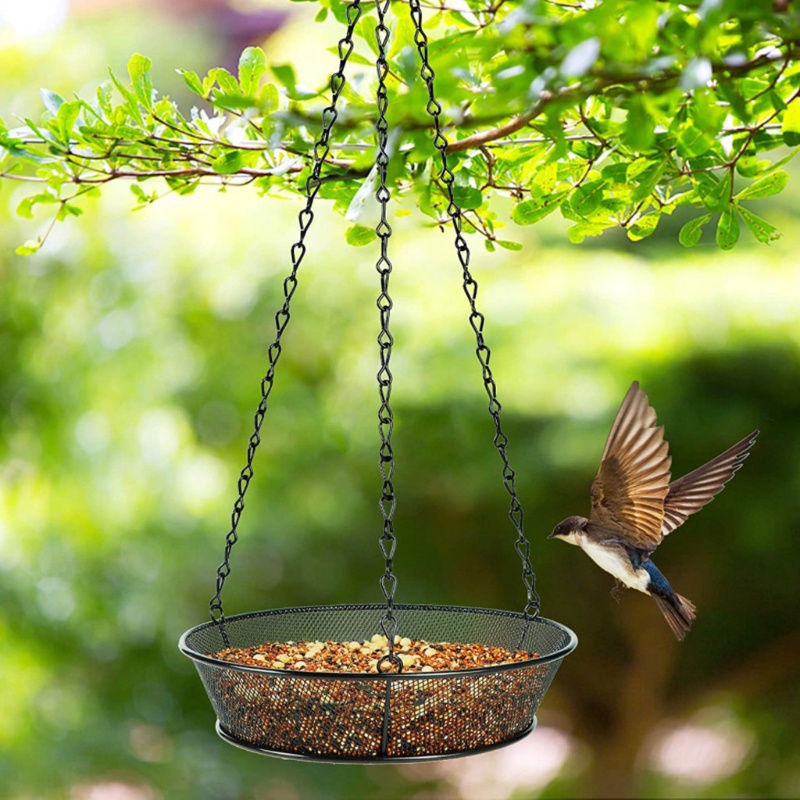 Khay Đựng Thức Ăn Cho Chim Bằng Kim Loại Dạng Lưới Treo Tiện Dụng