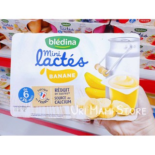 sữa chua Bledina Pháp 6m 12m ( Mẫu Mới)