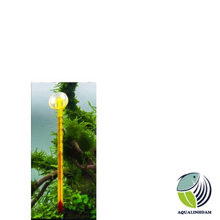 Nhiệt kế đũa đo nhiệt độ bể cá