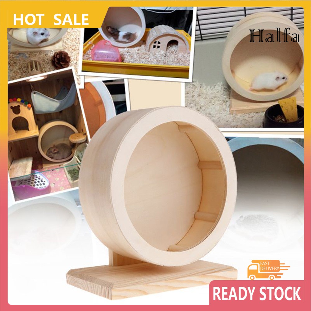 Đồ Chơi Vòng Xoay Tập Thể Dục Cho Chuột Hamster