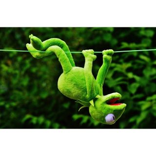 Gấu bông ếch dễ thương