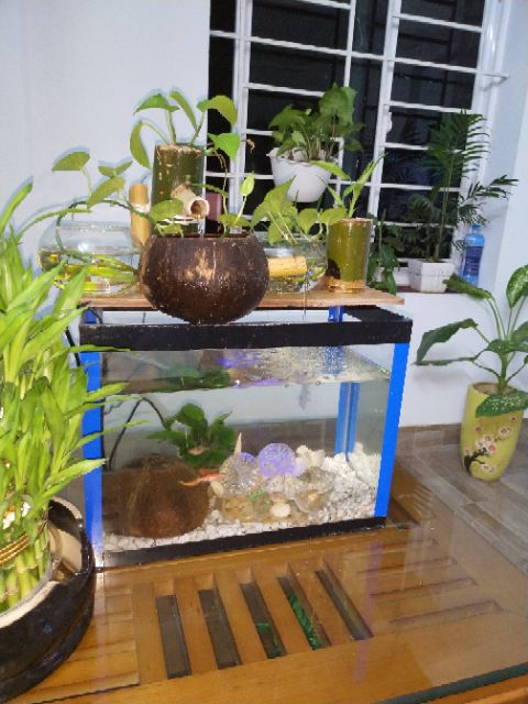 Máy bơm nước phong thủy, 4 đèn led.