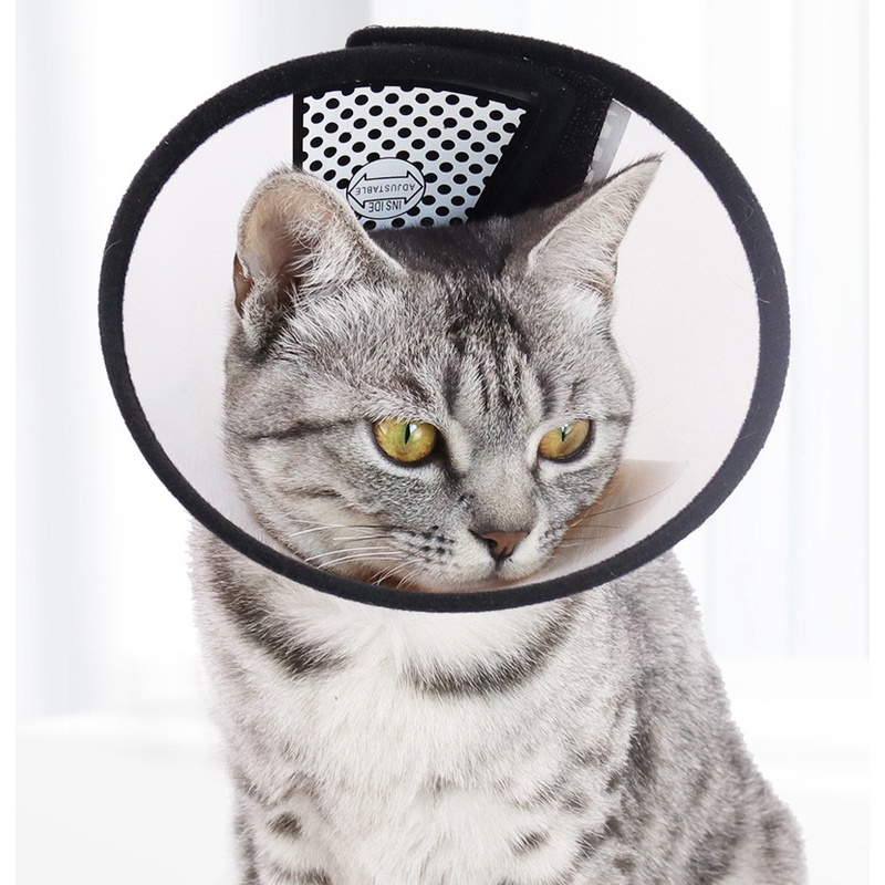 Vòng Chống Liếm Cho Chó Mèo, Loa Xấu Hổ Giúp Bảo Vệ Thú Cưng Tránh Nhiễm Trùng PAW Pet Elizabethan Collar PET08