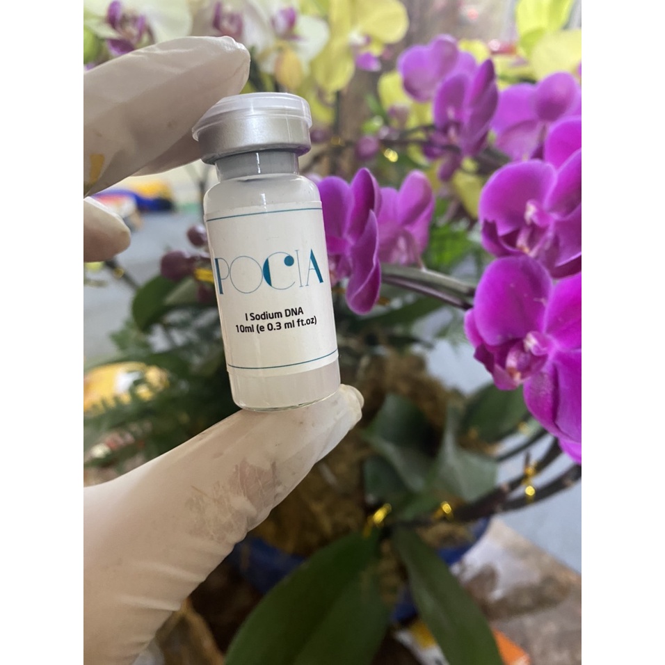 Tế bào gốc giảm lỗ chân lông to POCIA ( Lọ 10ml )
