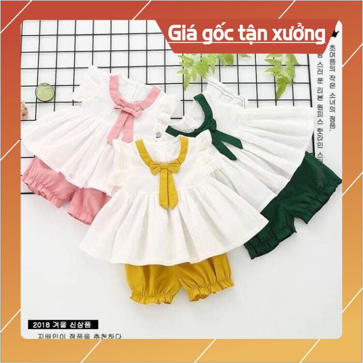 Đồ bộ bé gái xinh𝑭𝑹𝑬𝑬𝑺𝑯𝑰𝑷♥️vải cotton 4 chiều,thoáng mát,vận động,thấm hụt mồ hôi