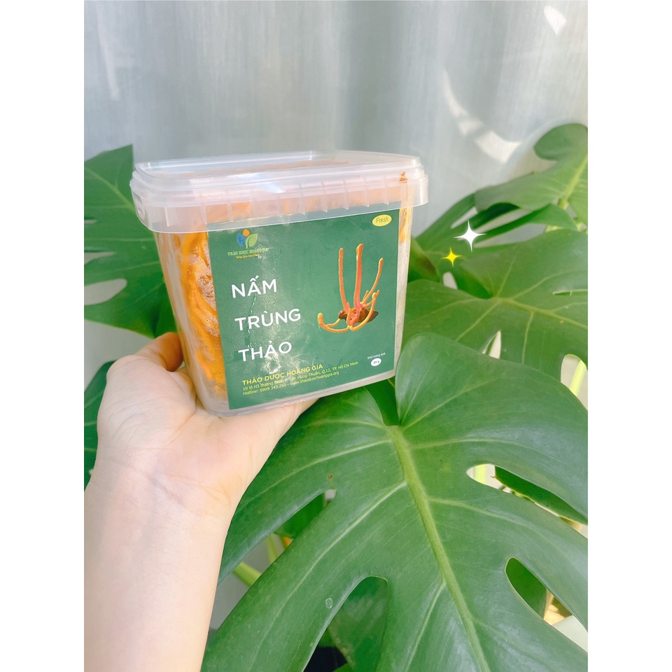 Đông Trùng Hạ Thảo Tươi Hoàng Gia - Hộp 180g | BigBuy360 - bigbuy360.vn