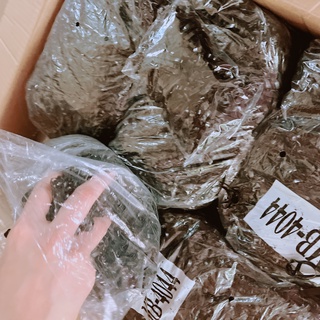 {Hàng đẹp thun chắc } DÂY THUN NỊT ĐEN-HỒNG CỘT TÓC , CHUN BUỘC TÓC, NỊT BUỘC TÓC loại dai đẹp chống đứt
