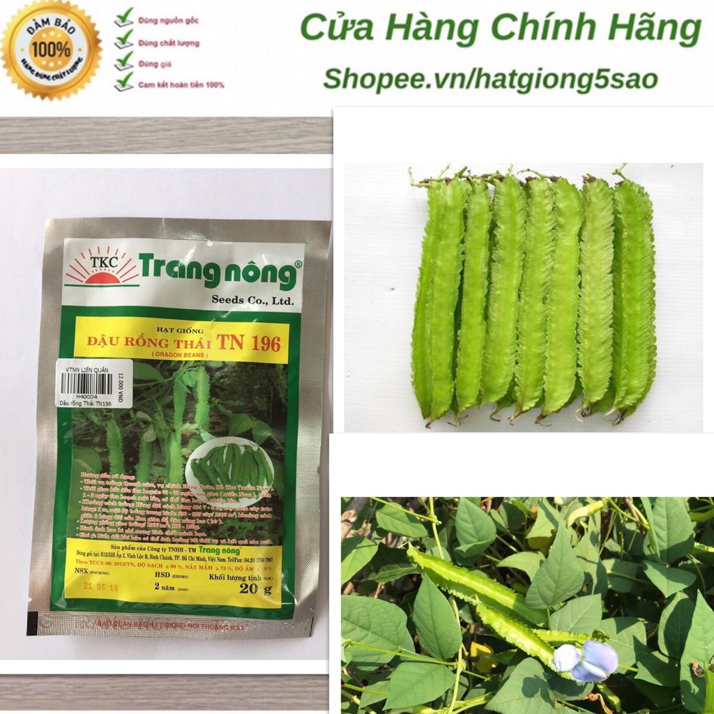 Đậu Rồng Thái TN 196 ( 20gr )