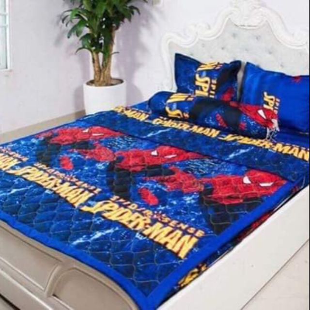 Set chăn hè ga gối Poly (đủ 5 món)
