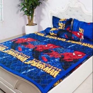 Set chăn hè ga gối Poly