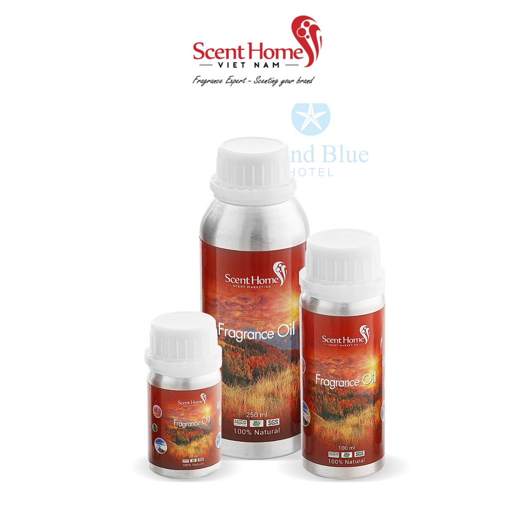 [Chính hãng] Tinh dầu Island Blue - ScentHomes (Island Blue- 50ml,100ml,250ml)