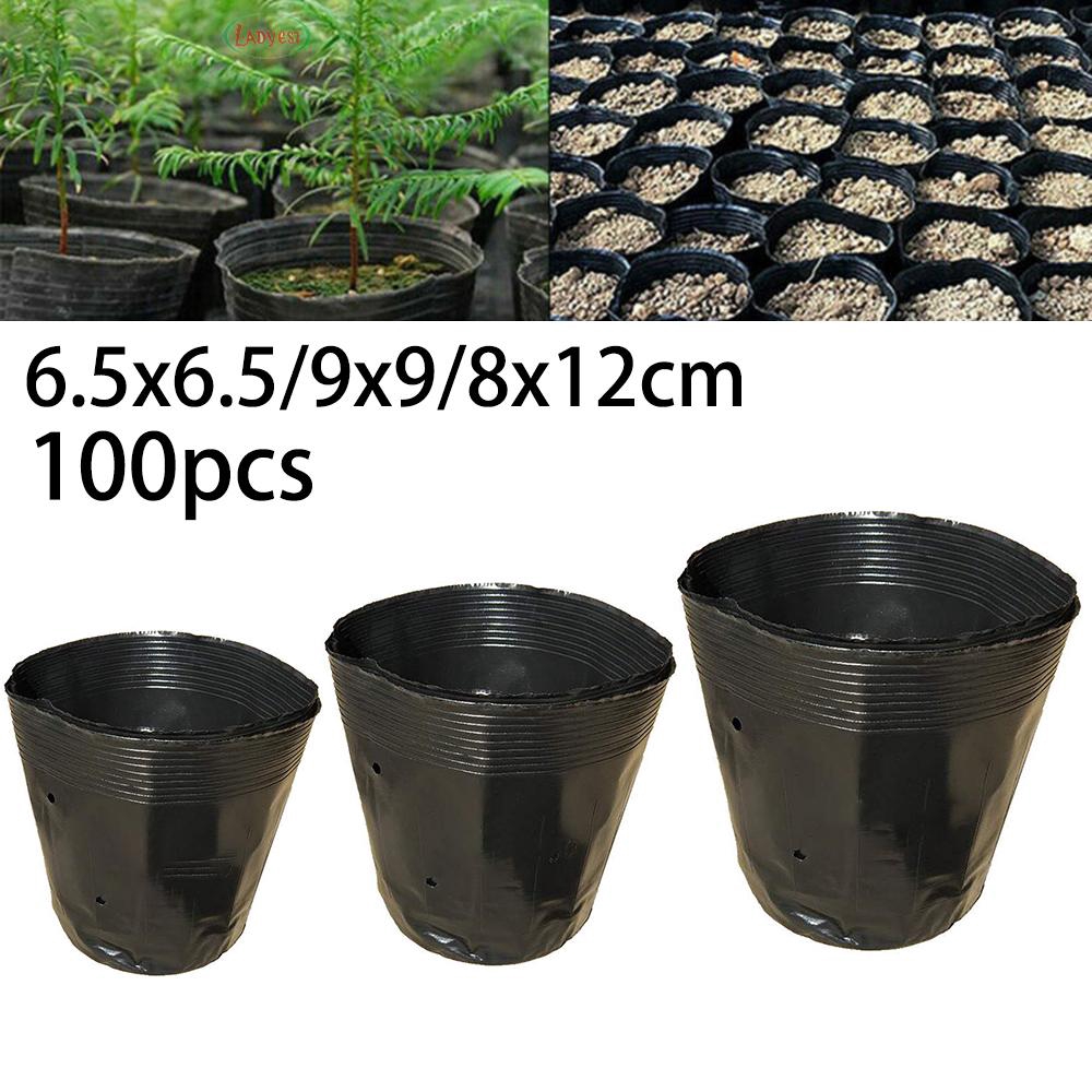 100 Chậu Nhựa Trồng Cây