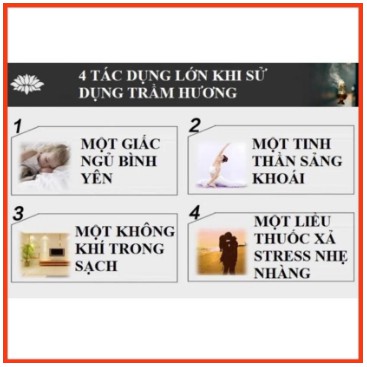 Trầm Nụ Thái Lan Mix nhiều mùi hương-100 viên